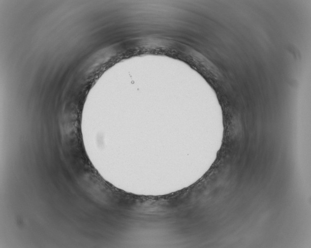 X0000114000824200910161707