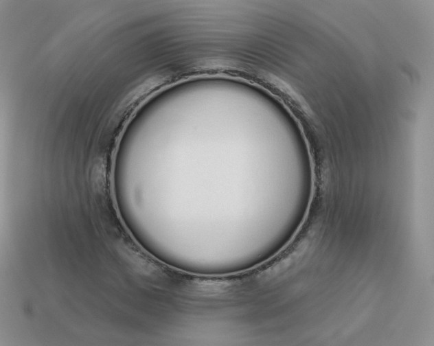 X0000114000825200910161707