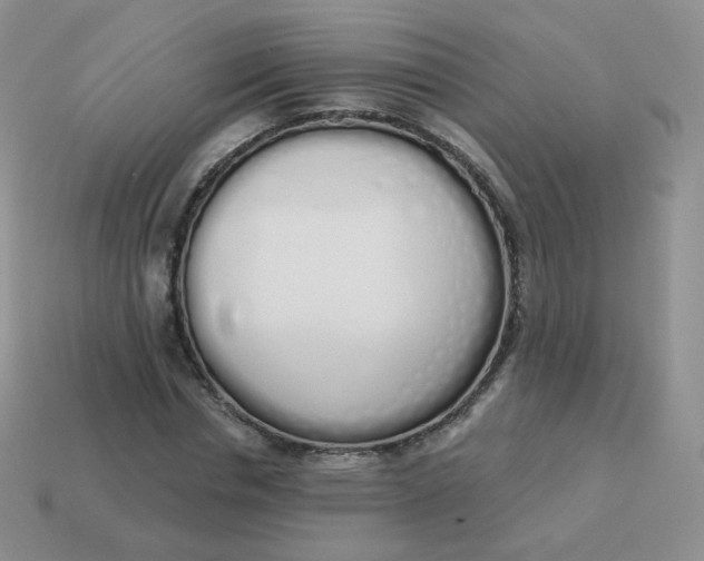 X0000114000826200910161707