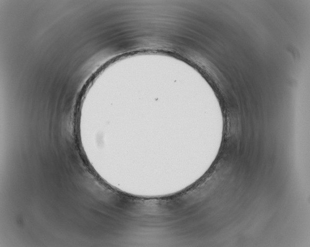 X0000114000828200910161707