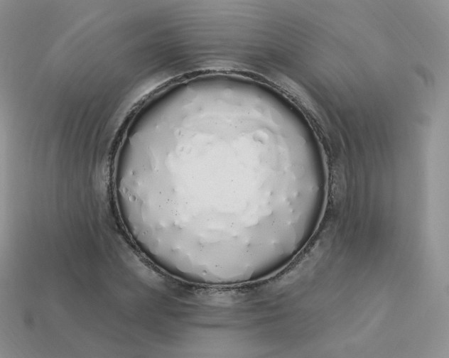 X0000114000831200910161707