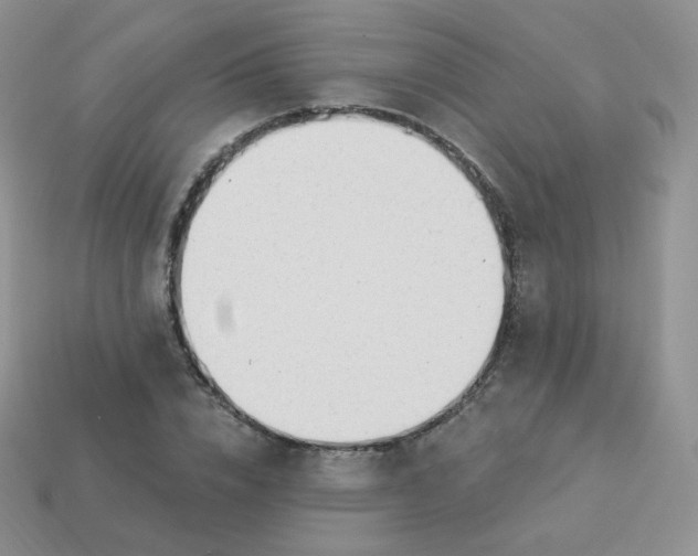 X0000114000832200910161707