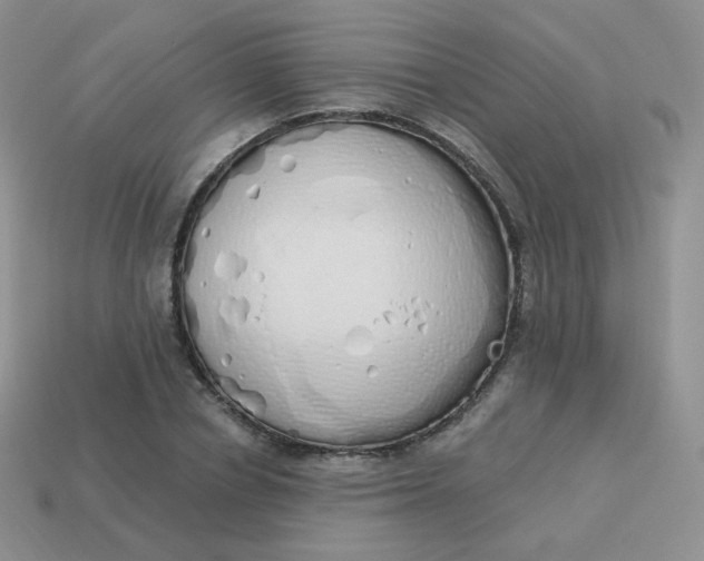 X0000114000834200910161707
