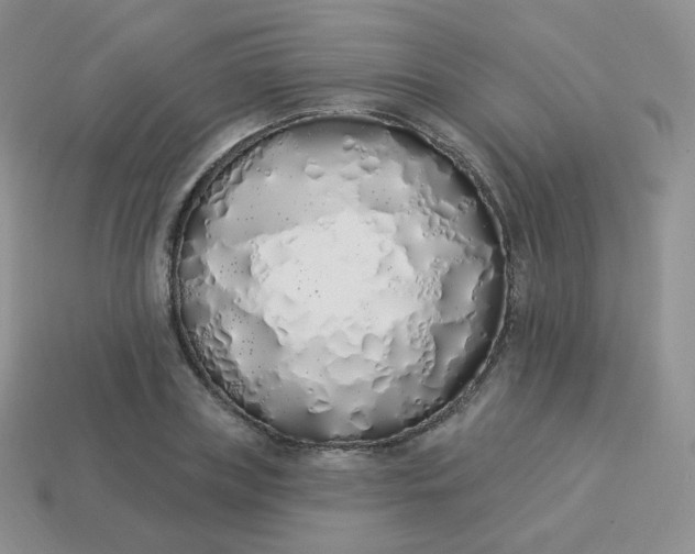 X0000114000835200910161707