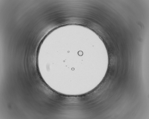 X0000114000836200910161707