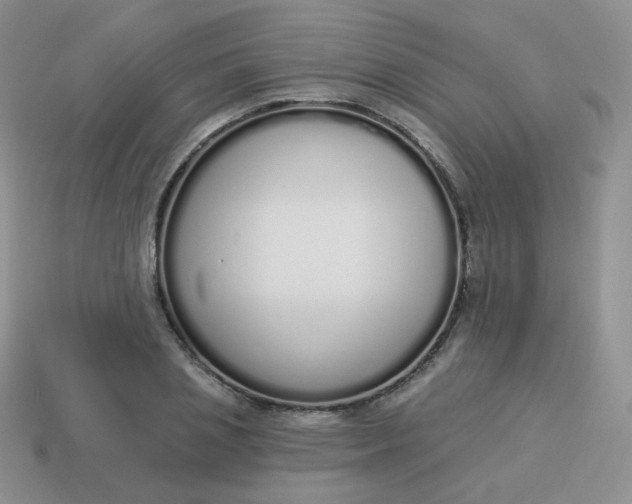 X0000114000837200910161707