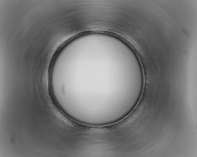 X0000114000840200910161707