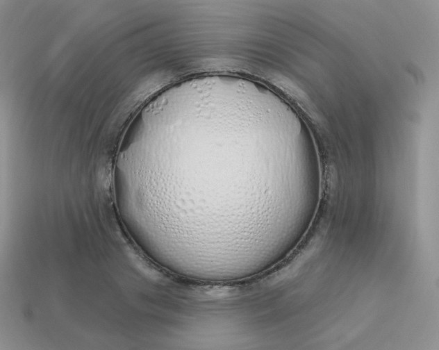 X0000114000841200910161707
