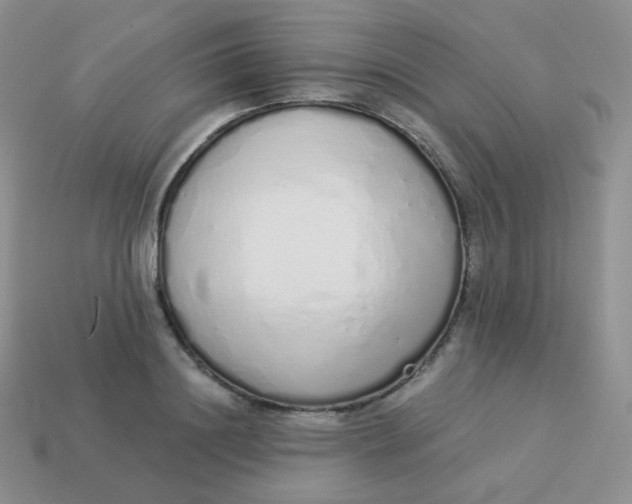 X0000114000844200910161707