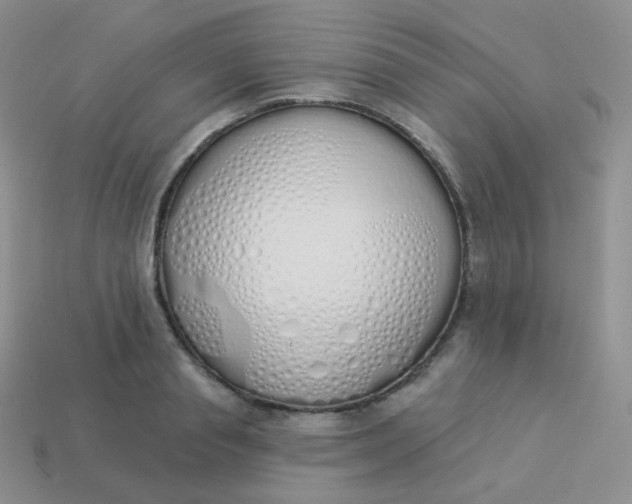 X0000114000845200910161707