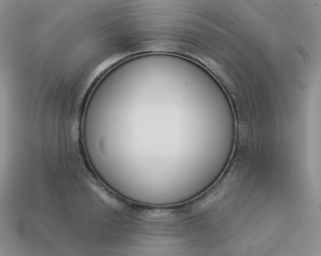 X0000114000846200910161707