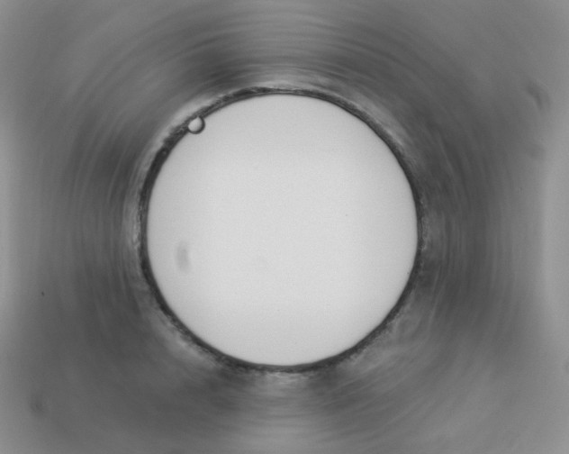 X0000114000848200910161707
