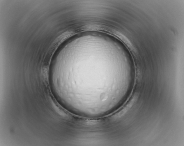 X0000114000849200910161707
