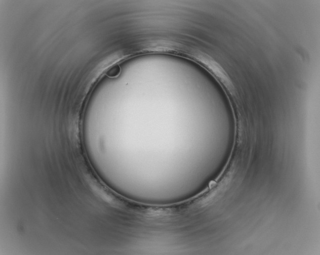 X0000114000850200910161707