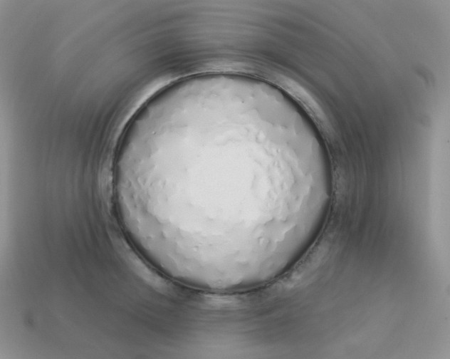 X0000114000852200910161707