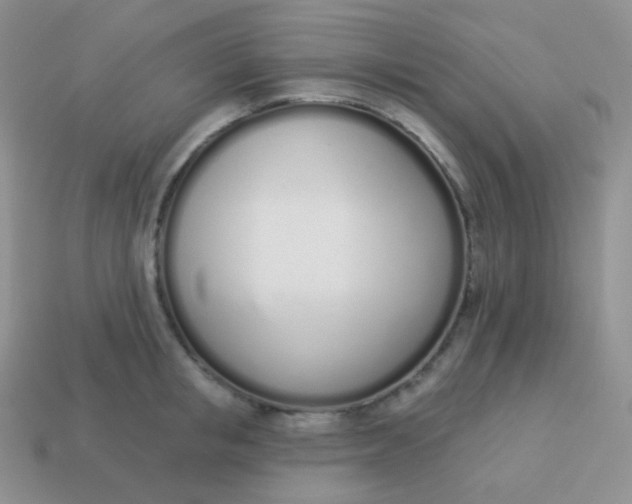 X0000114000853200910161707