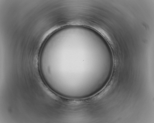 X0000114000854200910161707