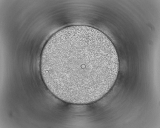 X0000114000856200910161707