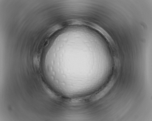 X0000114000857200910161707