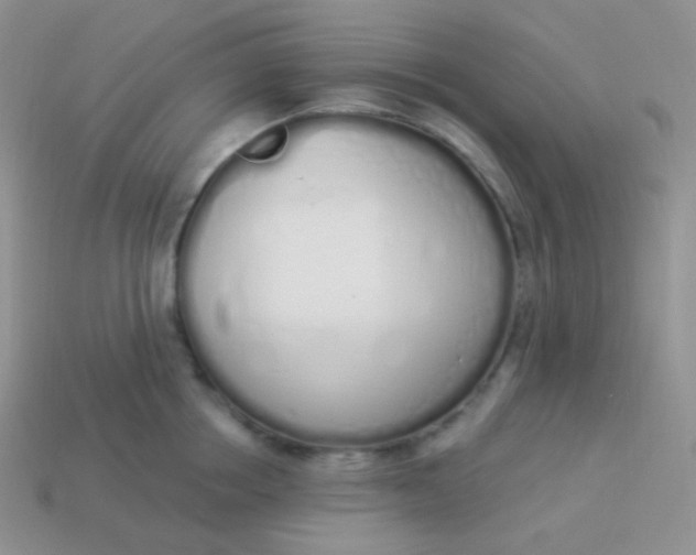 X0000114000858200910161707