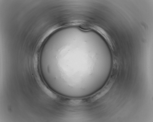 X0000114000859200910161707