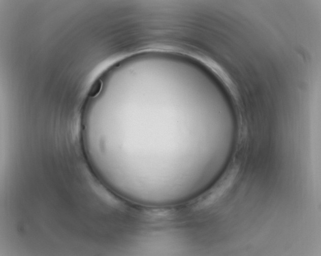 X0000114000862200910161707