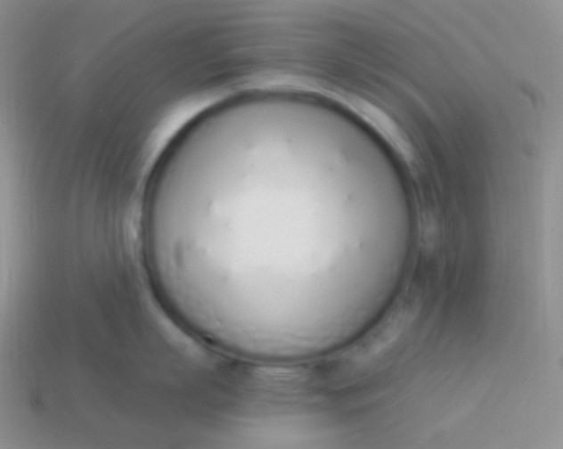 X0000114000863200910161707