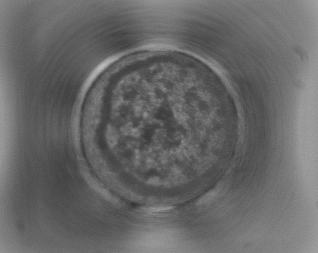 X0000114000864200910161707