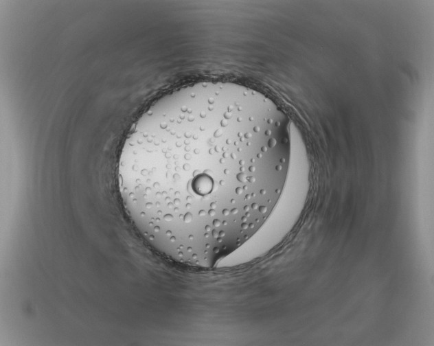 X0000114000865200910161707