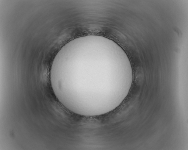 X0000114000866200910161707