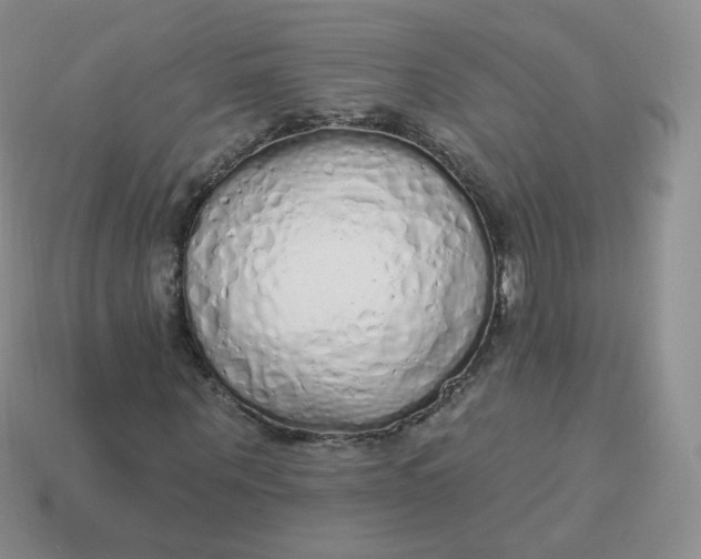X0000114000867200910161707