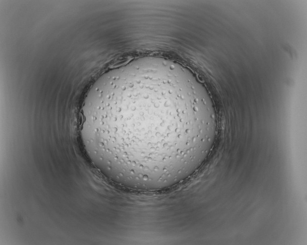 X0000114000868200910161707