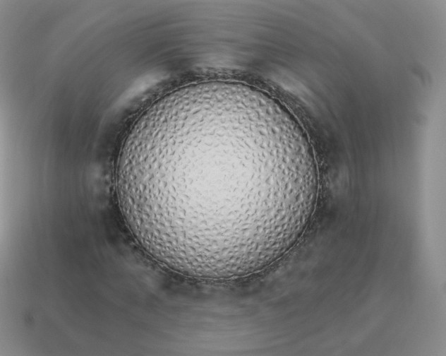 X0000114000870200910161707