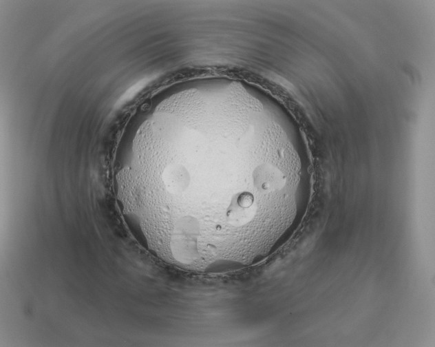 X0000114000871200910161707