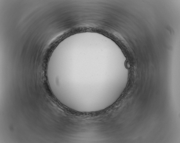 X0000114000872200910161707