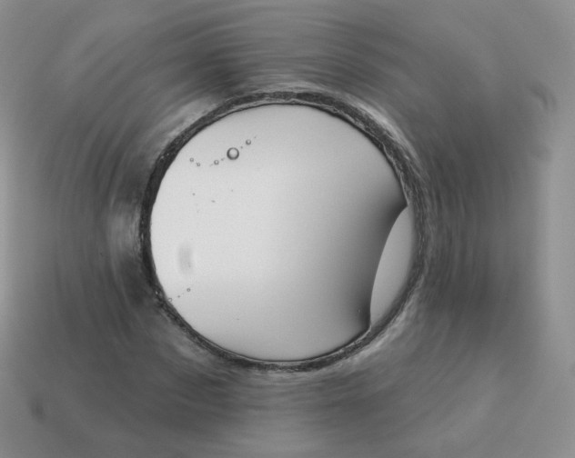 X0000114000873200910161707
