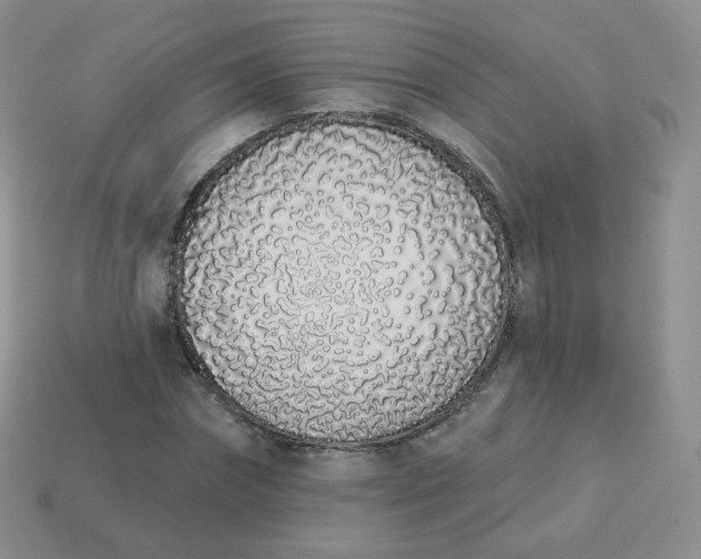 X0000114000874200910161707