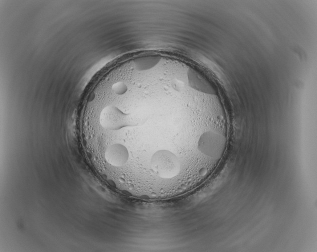 X0000114000875200910161707