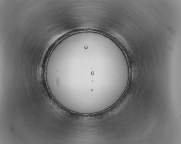X0000114000876200910161707