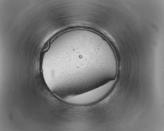 X0000114000877200910161707