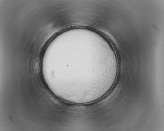 X0000114000878200910161707