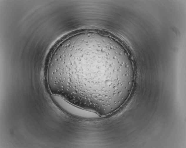 X0000114000880200910161707