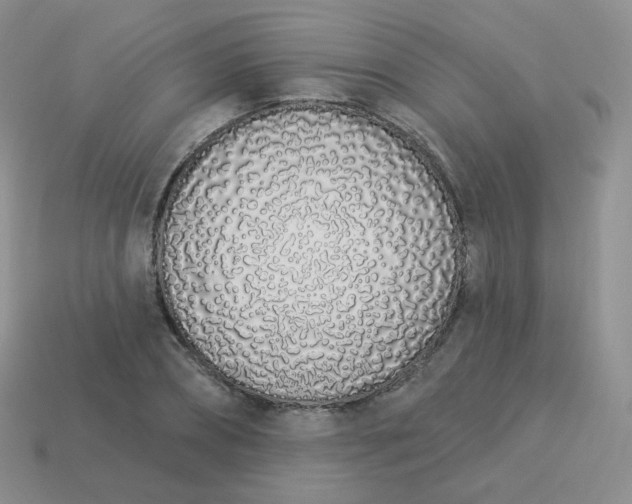 X0000114000882200910161707