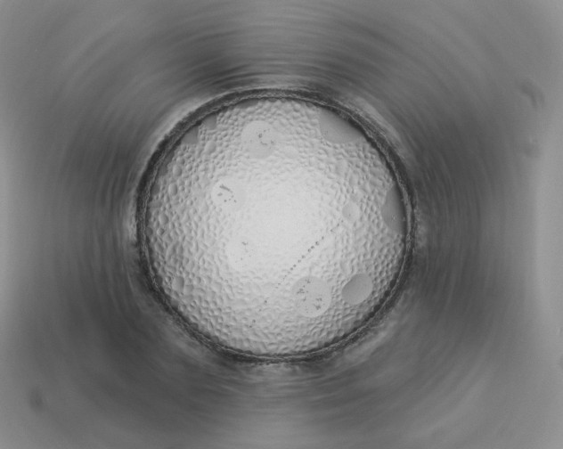 X0000114000883200910161707
