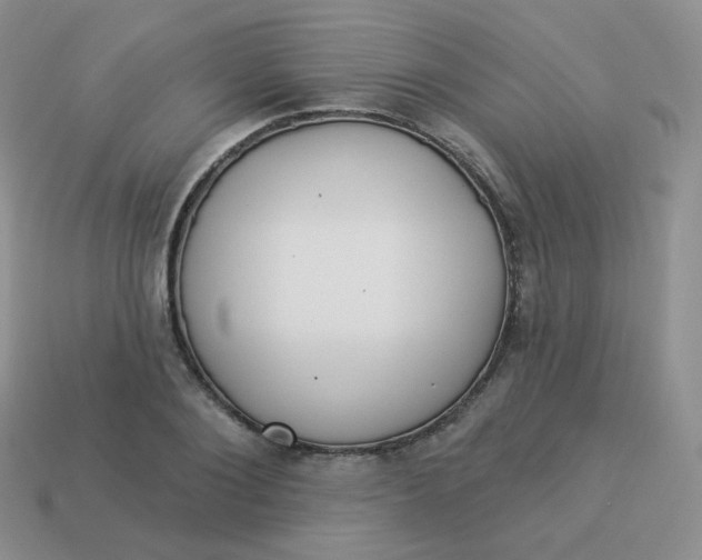 X0000114000884200910161707