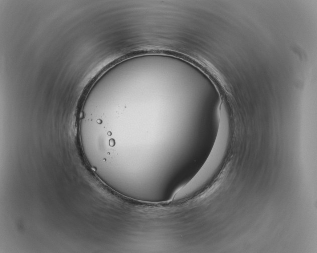 X0000114000885200910161706