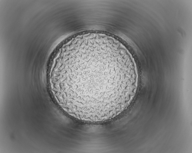 X0000114000886200910161706