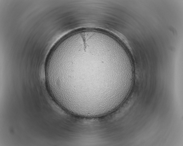X0000114000887200910161706