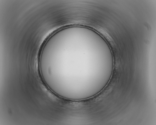 X0000114000888200910161706