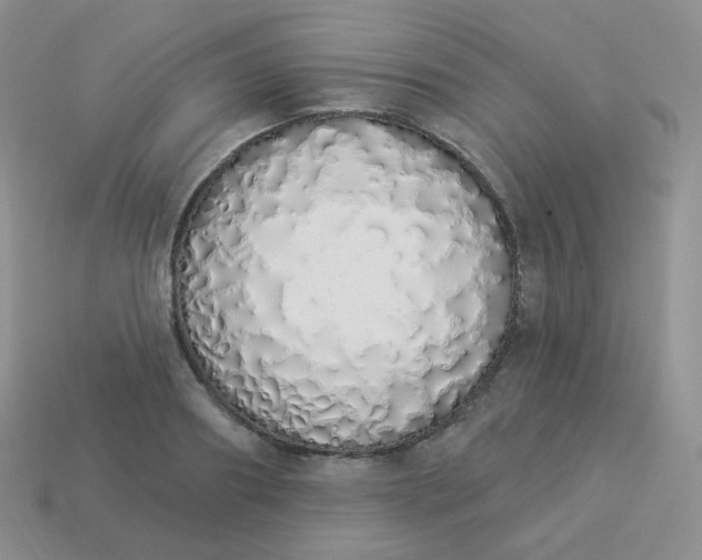 X0000114000890200910161706